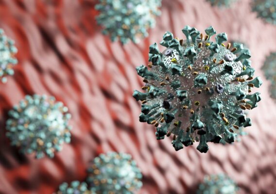 coronavirus